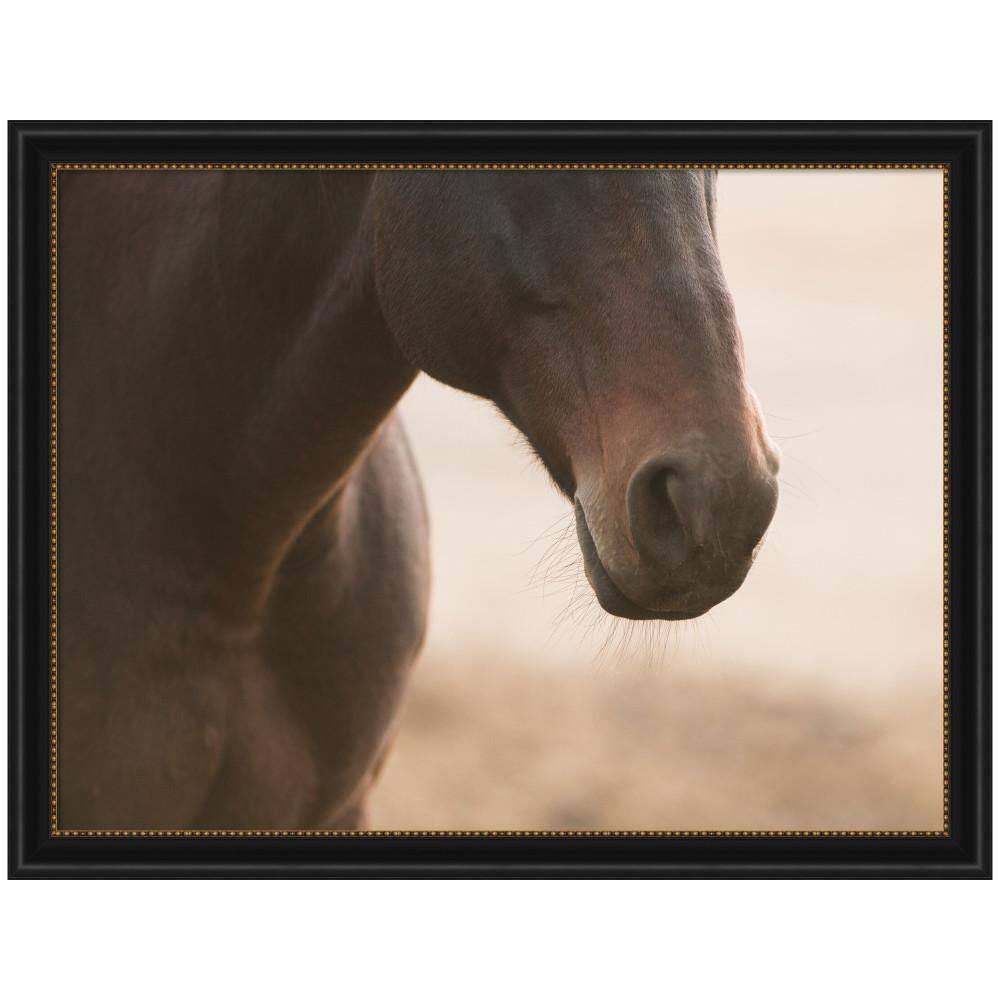 "Manhattan ""Dusty"" by Crystal Lynn Collins Horse Framed Art Print 34 in. x 44 in." price history on PriceWatchPro