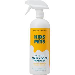 27 oz. Fabric and Upholstery Stain and Odor Remover