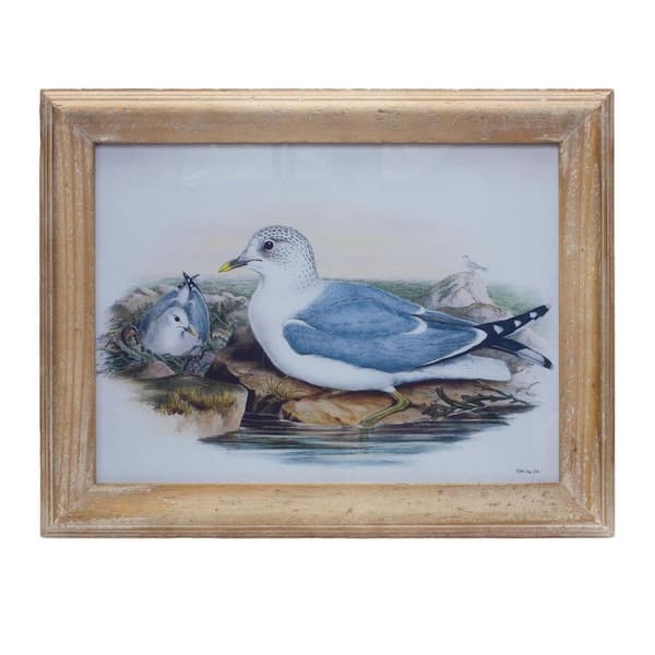 16.5 in. x 13 in., Blue Bird Solid Wood Framed Wall Art 1-Piece