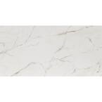 MSI Leonardo Luccia 24 in. x 48 in. Polished Porcelain Floor and Wall ...