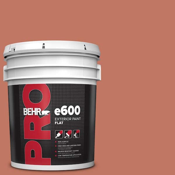 BEHR PRO 5 gal. #210D-6 Caribbean Coral Flat Exterior Paint