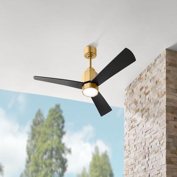 Everlea 52 in. Indoor/Covered Outdoor Brushed Gold Modern Ceiling Fan with Color Changing LED and Remote Control