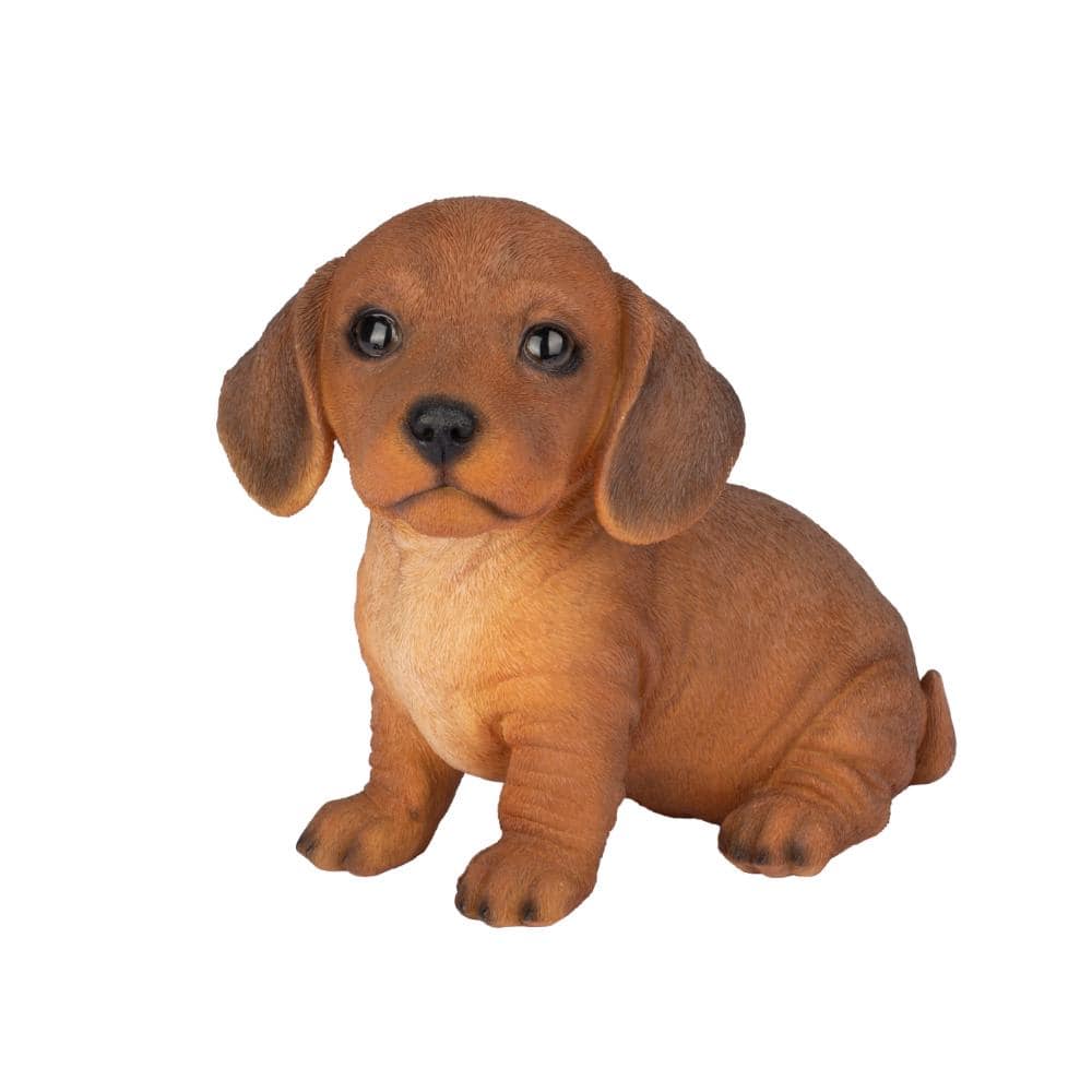 SoReal Brown Dachshund price history on PriceWatchPro