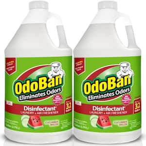 1 Gal. Cucumber Melon Disinfectant, Laundry and Air Freshener, Mold & Mildew Control, Multi-Purpose Concentrate (2-Pack)