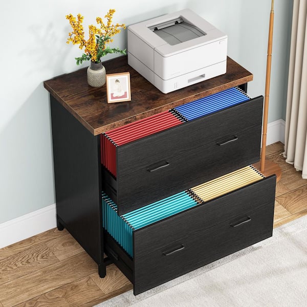 Frances Black File Cabinet with 2 File Drawers, Letter Size