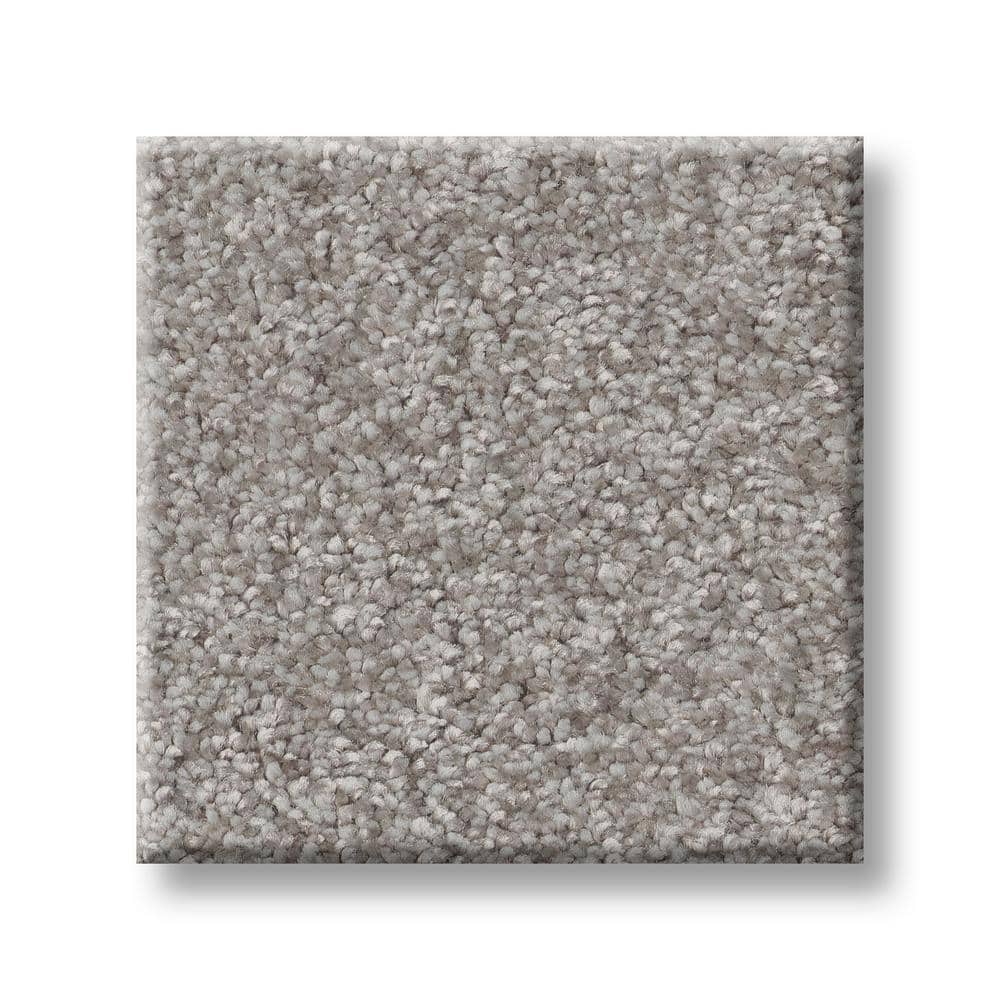 8 in. x 8 in. Texture Carpet Sample - Rosemary III -Color Bolt price history on PriceWatchPro