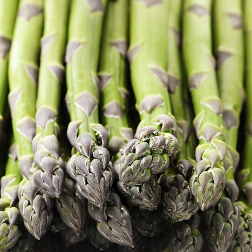 Delicious 20 Seeds PACIFIC 2000 Gmo Free Hardy Variety Asparagus Seeds 