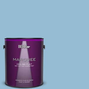 1 gal. #M500-3 Blue Chalk color One-Coat Hide Ceiling Flat Interior Paint & Primer