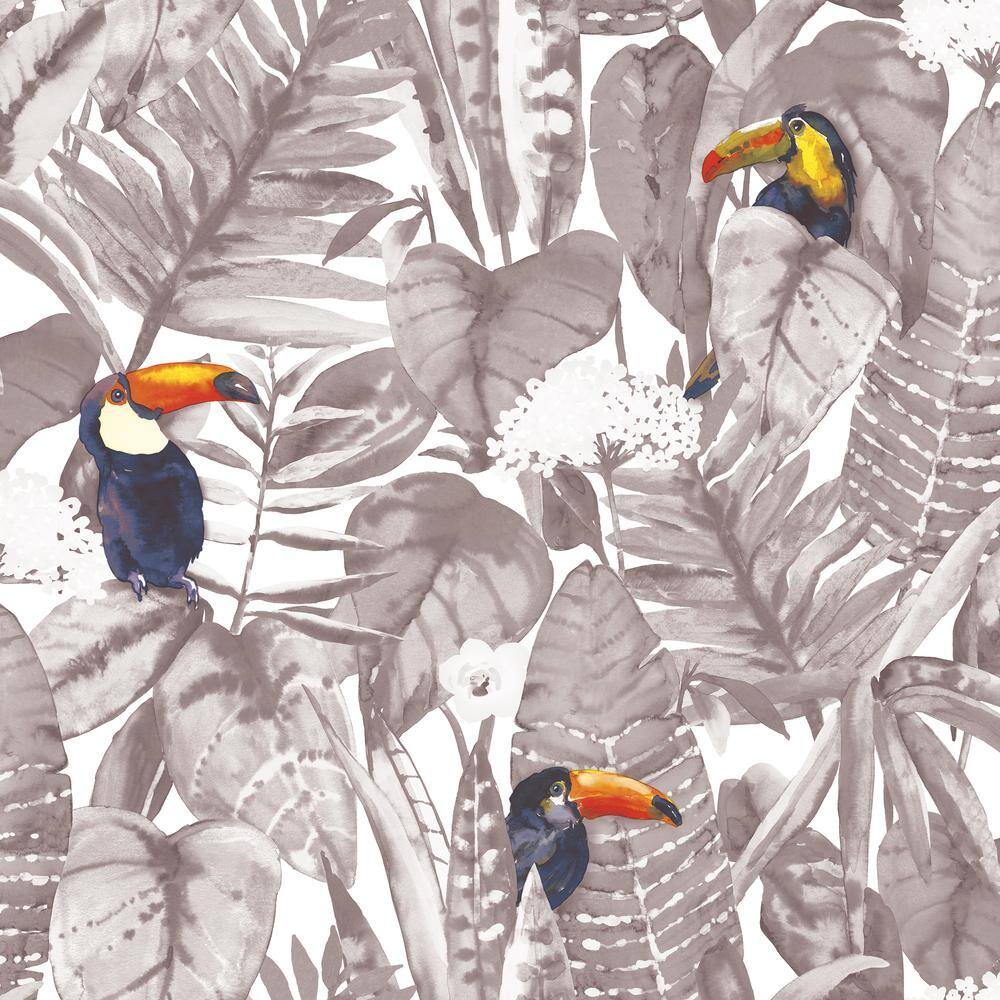 Toucan Newspaper Peel and Stick Wallpaper Sample price history on PriceWatchPro