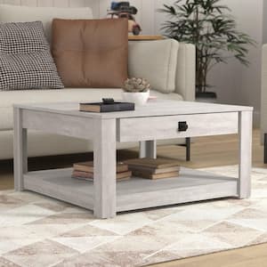 Philia 31.5 in. Dusty Gray Oak Square Wood Top Coffee Table with Storage