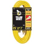 25 ft. 12/3 SJTW Outdoor Heavy-Duty Extension Cord with Power Light Plug