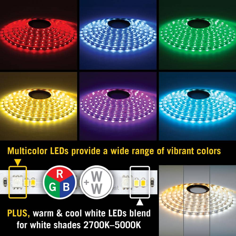RibbonFlex Pro 24V RGB+WW LED Tape Light 32 Feet