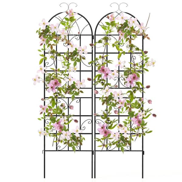 71 in. Metal Garden Trellis for Climbing Plants 2-Pack Fence Panels Retro