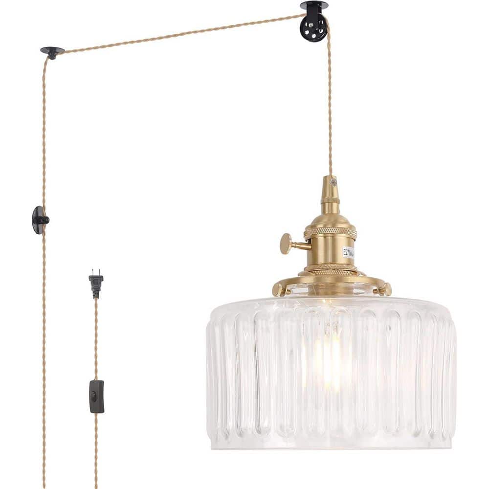 60-Watt 1-Light Clear Vintage Integrated LED Pendant Light with Clear Strip