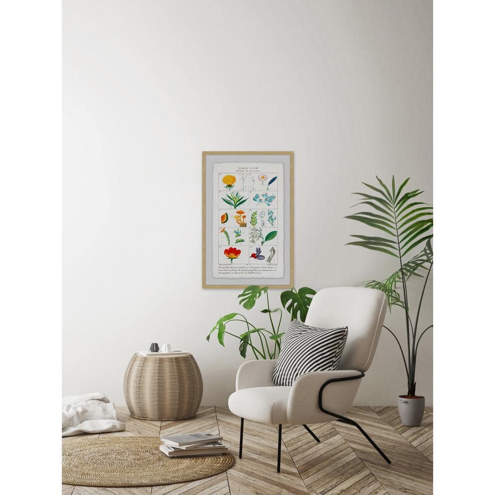 24 in. H x 16 in. W Botany French 2 by Marmont Hill Framed Printed Wal