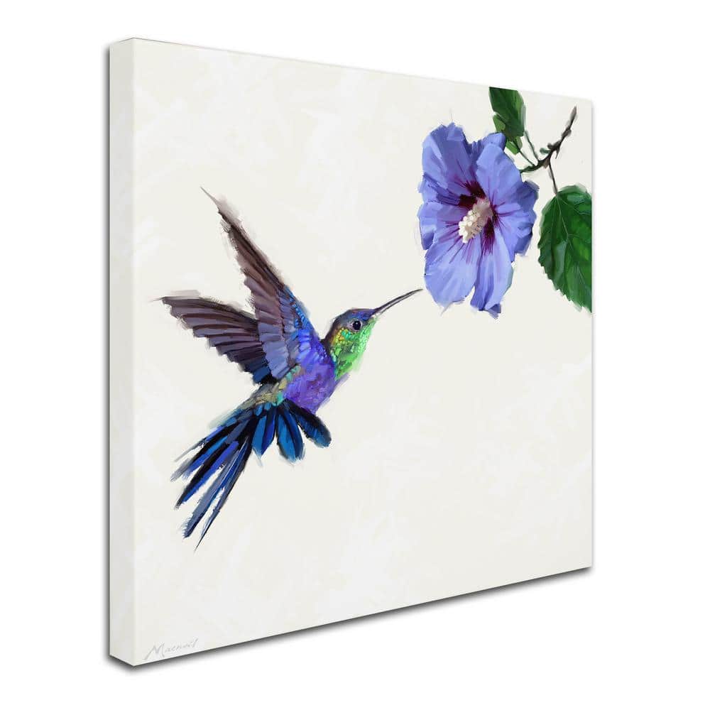 Jewel-Toned Humming Bird Canvas Art Print, 15 x 20
