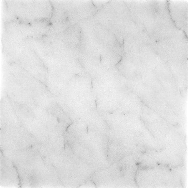 Apollo Tile Gray 4 in. x 5 in. Honed Marble Mosaic Tile Sample (0.13 sq. ft./Piece)