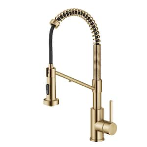 Bolden 2-in-1 Commercial Style Pull-Down Single Handle Water Filter Kitchen Faucet in Brushed Brass