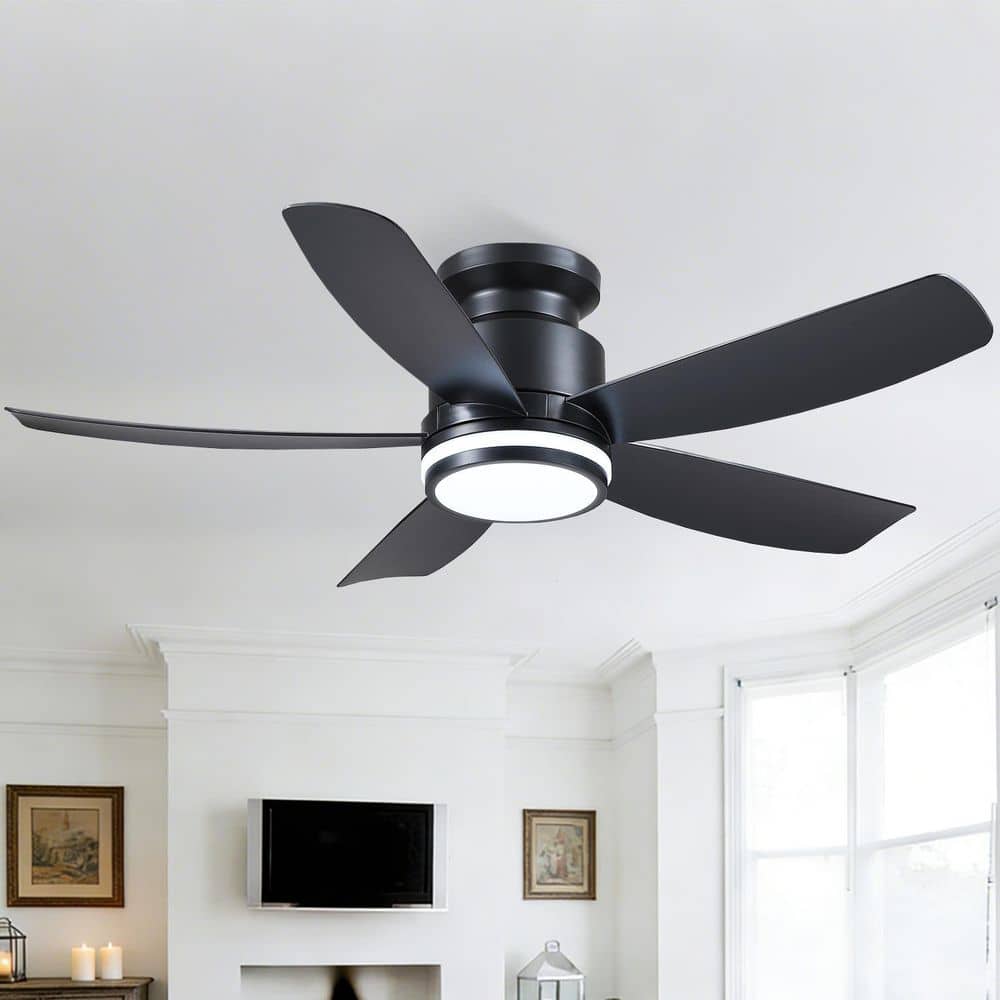41 in. Black Indoor Flush Mount Standard Ceiling Fan with Adjustable LED Light, DC Motor, and Remote price history on PriceWatchPro
