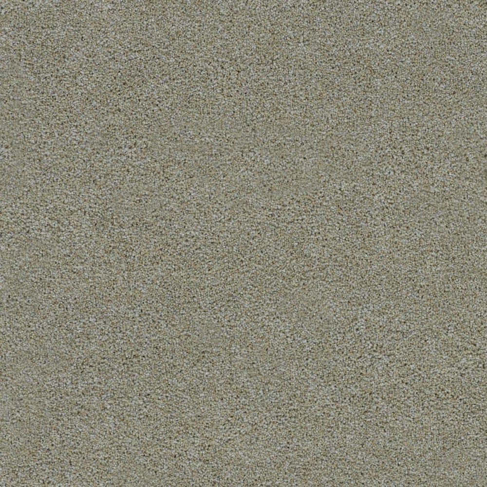 8 in. x 8 in. Texture Carpet Sample-Dewdrop III-Color Tears price history on PriceWatchPro