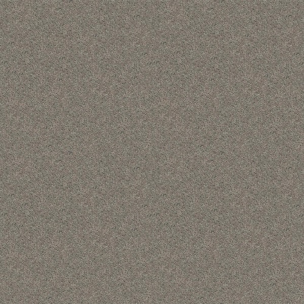 TrafficMaster Alpine - Tranquility - Gray 17.3 oz. Polyester Texture Installed Carpet