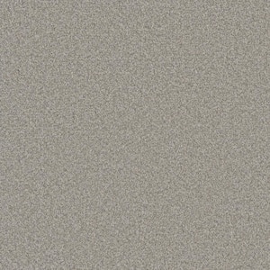 Trendy Threads Plus I - Diamond Gray - 40 oz. SD Polyester Texture Installed Carpet