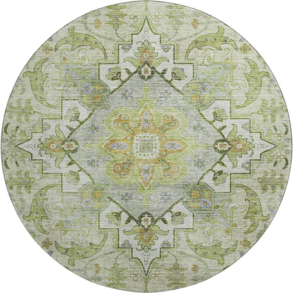 Mayfield Premium Machine Washable Abstract AMF2163 Green 8 ft. x 8 ft. Round Rug price history on PriceWatchPro