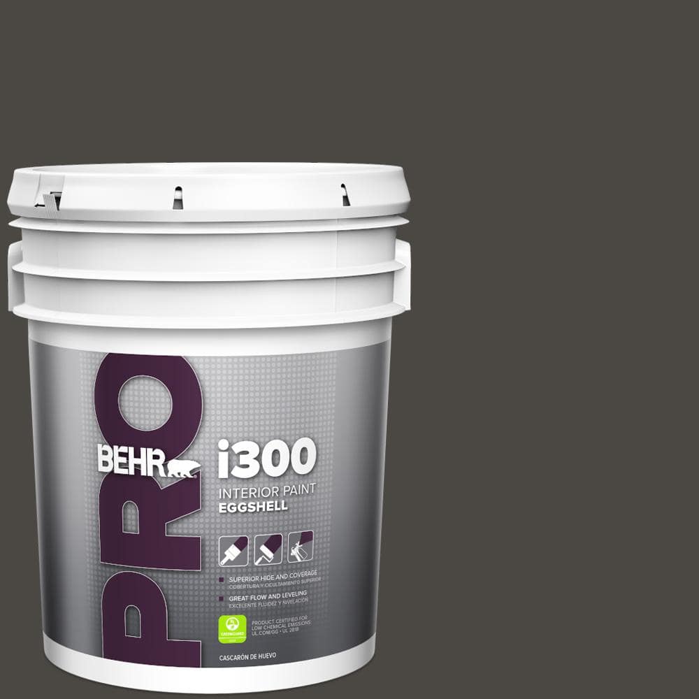 5 gal. #T16-01 Black Pearl Eggshell Interior Paint price history on PriceWatchPro