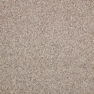 Maisie I  - Canyon Shade - Beige 42 oz. Triexta Texture Installed Carpet