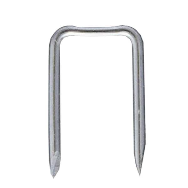 Briscon 1 in. x 1/2 in. Zinc-Plated Steel Staples (5,000-Pack)