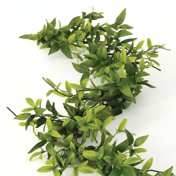 SULLIVANS 5 ft. Artificial Ruscus and Twig Garland, Green