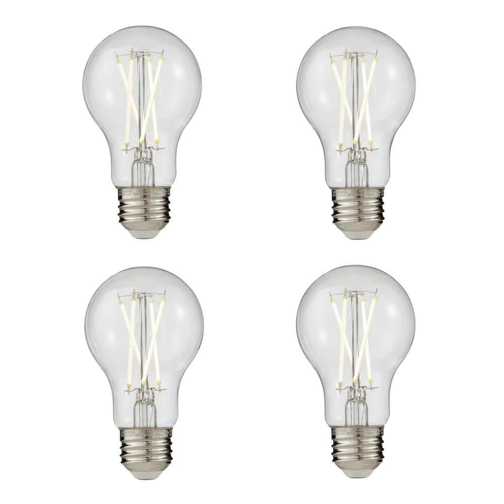 EcoSmart 60-Watt Equivalent A19 Dimmable Edison LED Light Bulb True ...