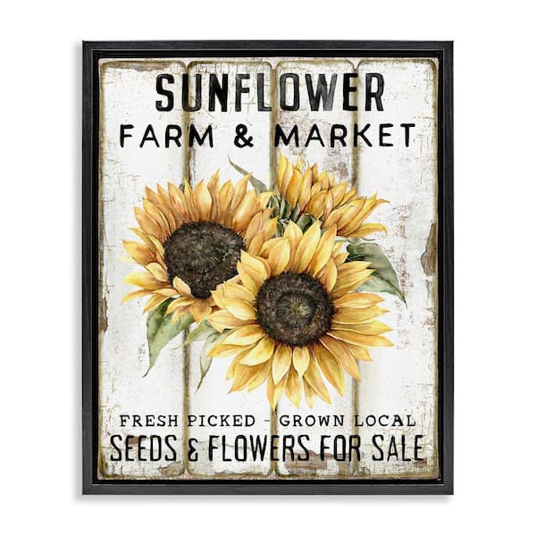 Stupell Industries Sunflower Farm & Market by Creatif Belle Black Floater Frame Nature Graphic Art Print 31 in. x 25 in.