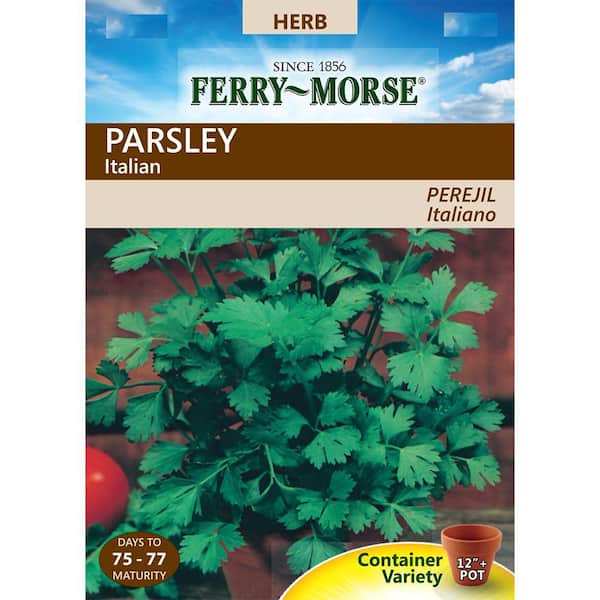 Ferry-Morse Parsley Italian Dark Green Herb Seed