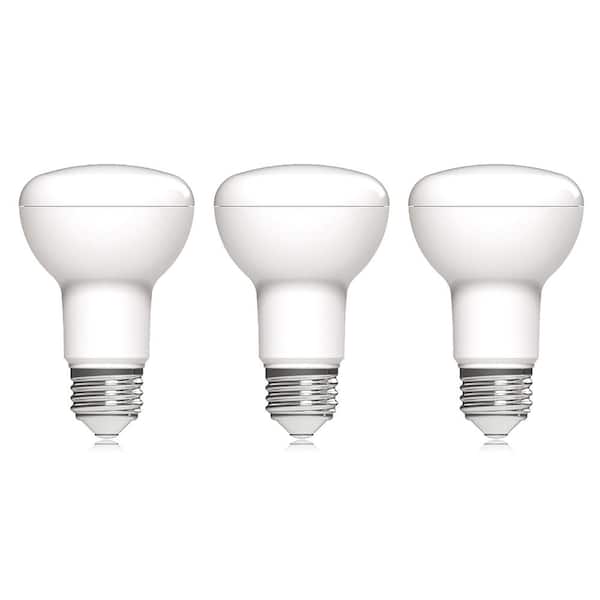 EcoSmart 50-Watt Equivalent R20 Dimmable ENERGY STAR LED Light Bulb Soft White (3-Pack)