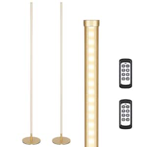 57.5 in. Gold LED Dimmable Standing Floor Lamp for Living Room with Remote Control (Set of 2)