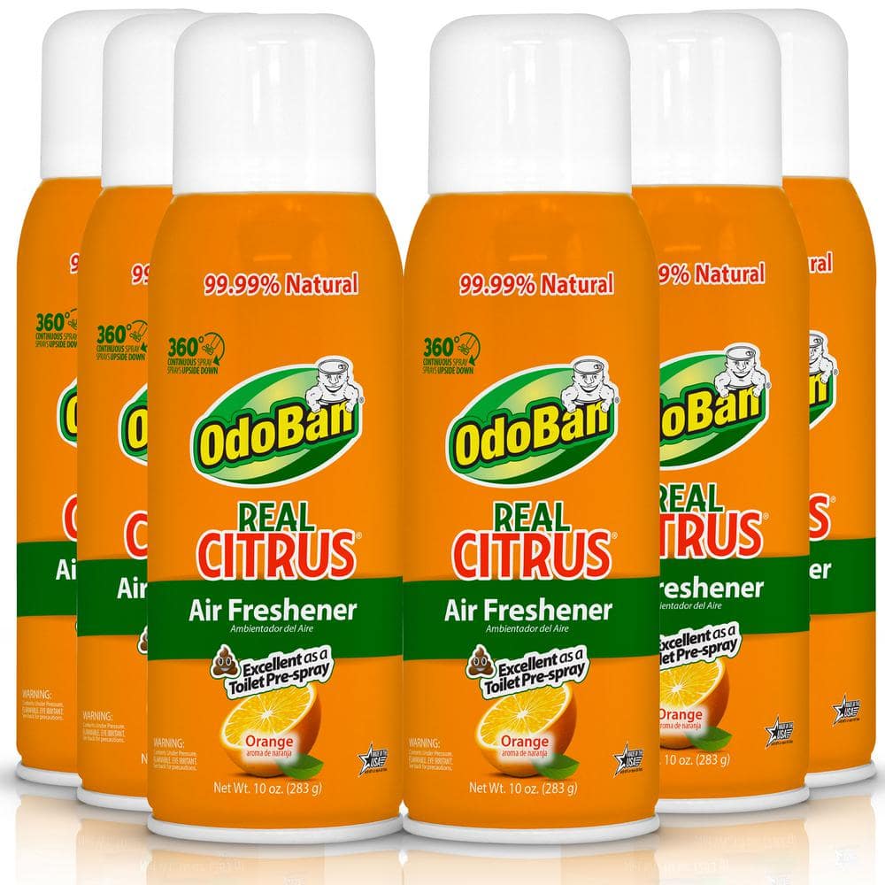 OdoBan 10 oz. Orange Real Citrus Air Freshener Spray, Citrus Oil Natural  Air Freshener, Room Deodorizer & Toilet Spray (6 Pack) 9793D70-10A6 - The