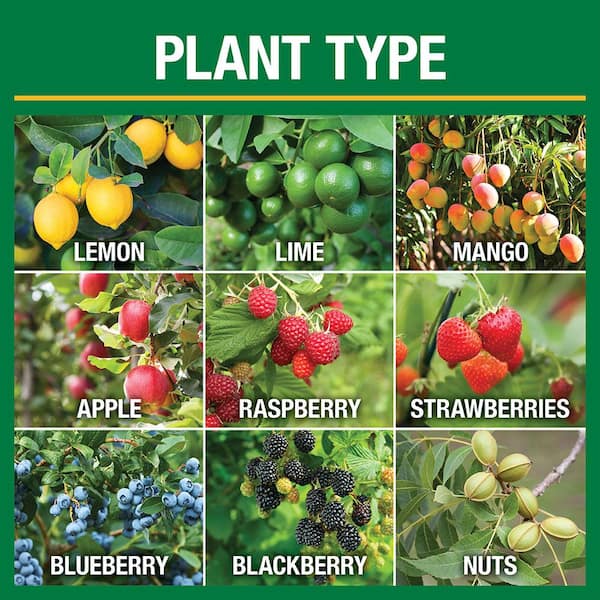 Vigoro 4.2 lb. All Season Fruit, Nut and Citrus Fertilizer Spikes