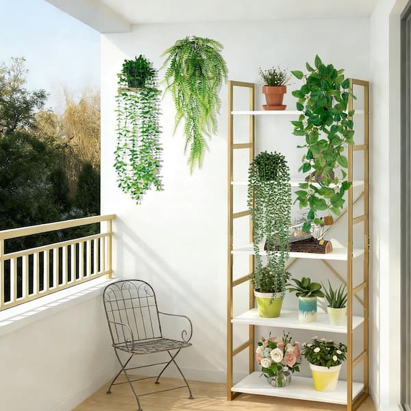 where to buy money tree plant Pachira Braid Money Tree main image 0