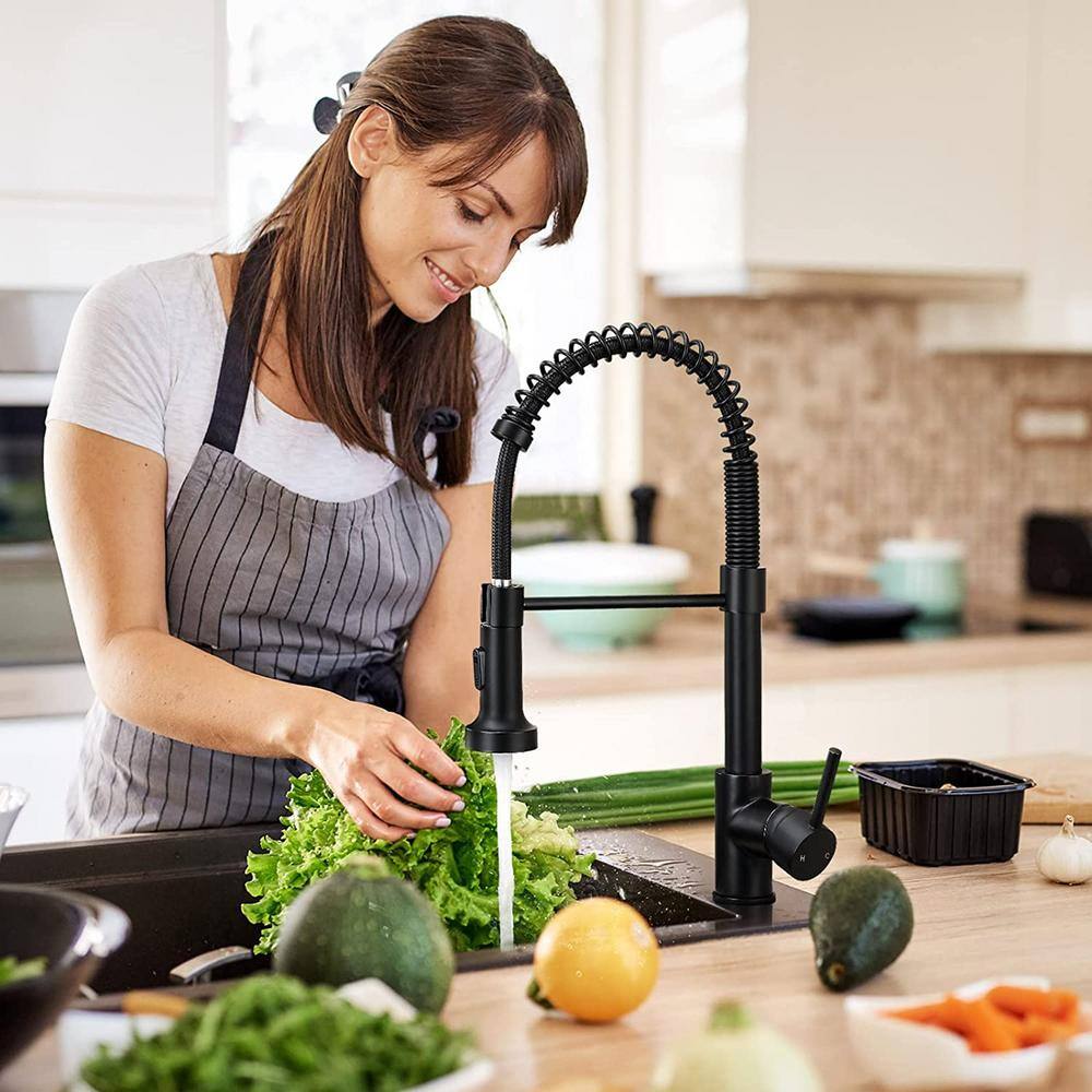 Matte Black Stainless Steel Pull-Down Kitchen Faucet with Spray
