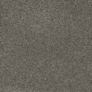 Bradmore I - Wake - Gray 45 oz. SD Polyester Texture Installed Carpet