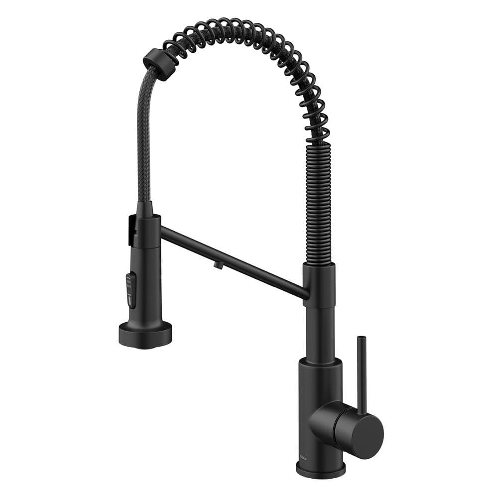 Matte Black 2-in-1 Pull-Down Kitchen Faucet with Water Filter
