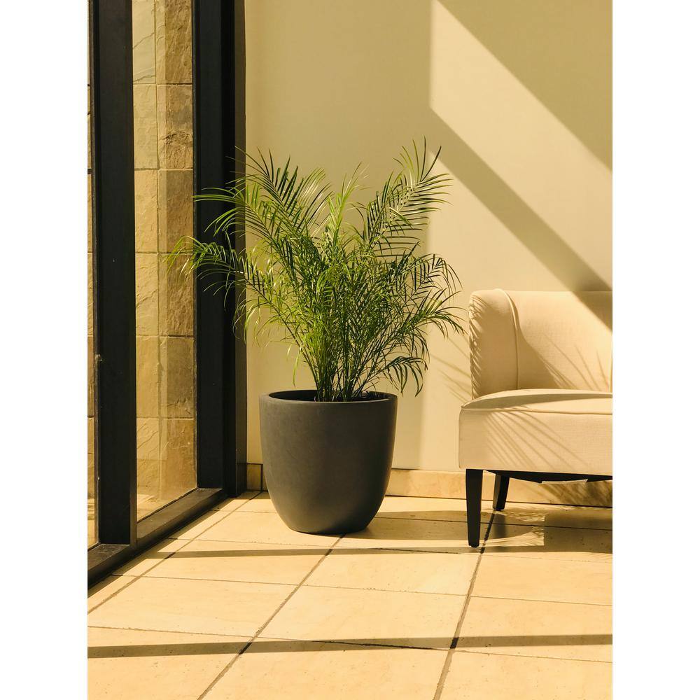 Charcoal Round Concrete Indoor/Outdoor Planter Pot 16.93"