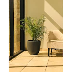 12 in. Tall Charcoal Lightweight Concrete Modern Outdoor/Indoor Round Planter