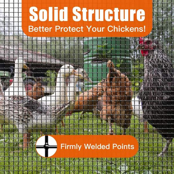 ATENGNES 48 in. x 50 ft. 19-Gauge 1/2 in. Black Vinyl Coated Hardware Cloth Welded Wire Fence Improvement and Chicken Coop