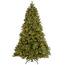 https://images.thdstatic.com/productImages/1e2499d5-00d9-4adc-87f1-31e1f09948a7/svn/national-tree-company-pre-lit-christmas-trees-pedd3-312-70-64_65.jpg