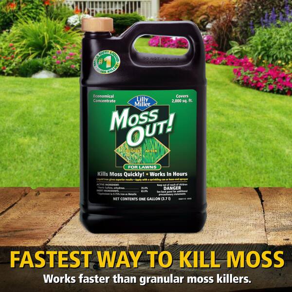 Moss Out 1 Gal For Lawns 100099156 The Home Depot Gal Moss Out For Lawns, Will Roundup Kill Moss
