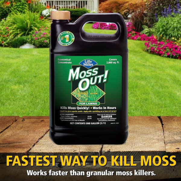 Lilly Miller Moss Out Moss Killer RTU Liquid 1 gal
