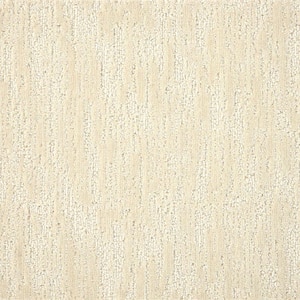 6 in. x 6 in. Pattern Carpet Sample - Borderline - Color Ivory