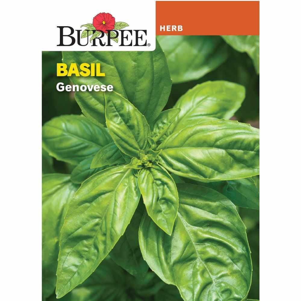 Burpee Garden Herb Basil Genovese Herb Seed 53755 - The Home Depot